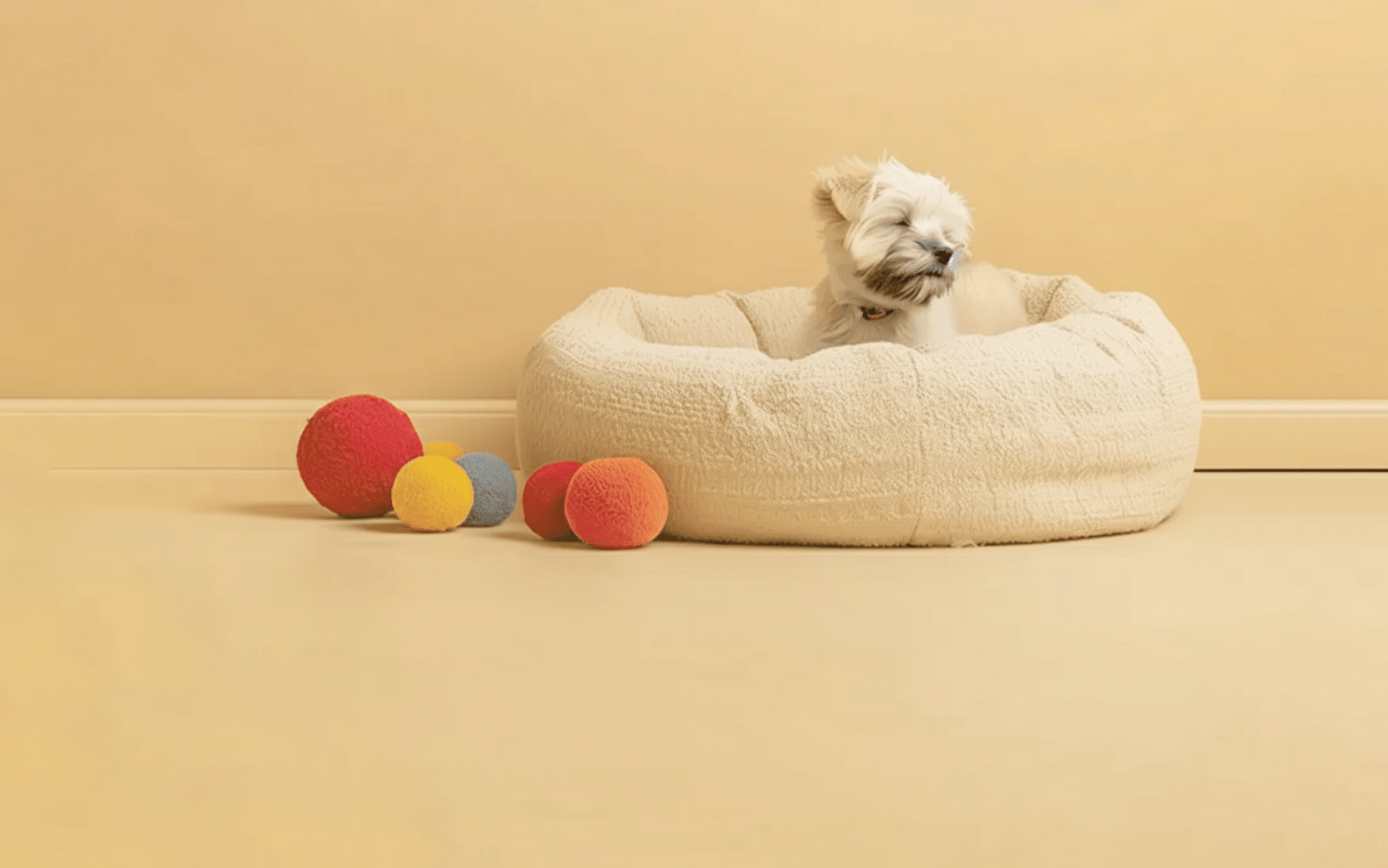 dog bed